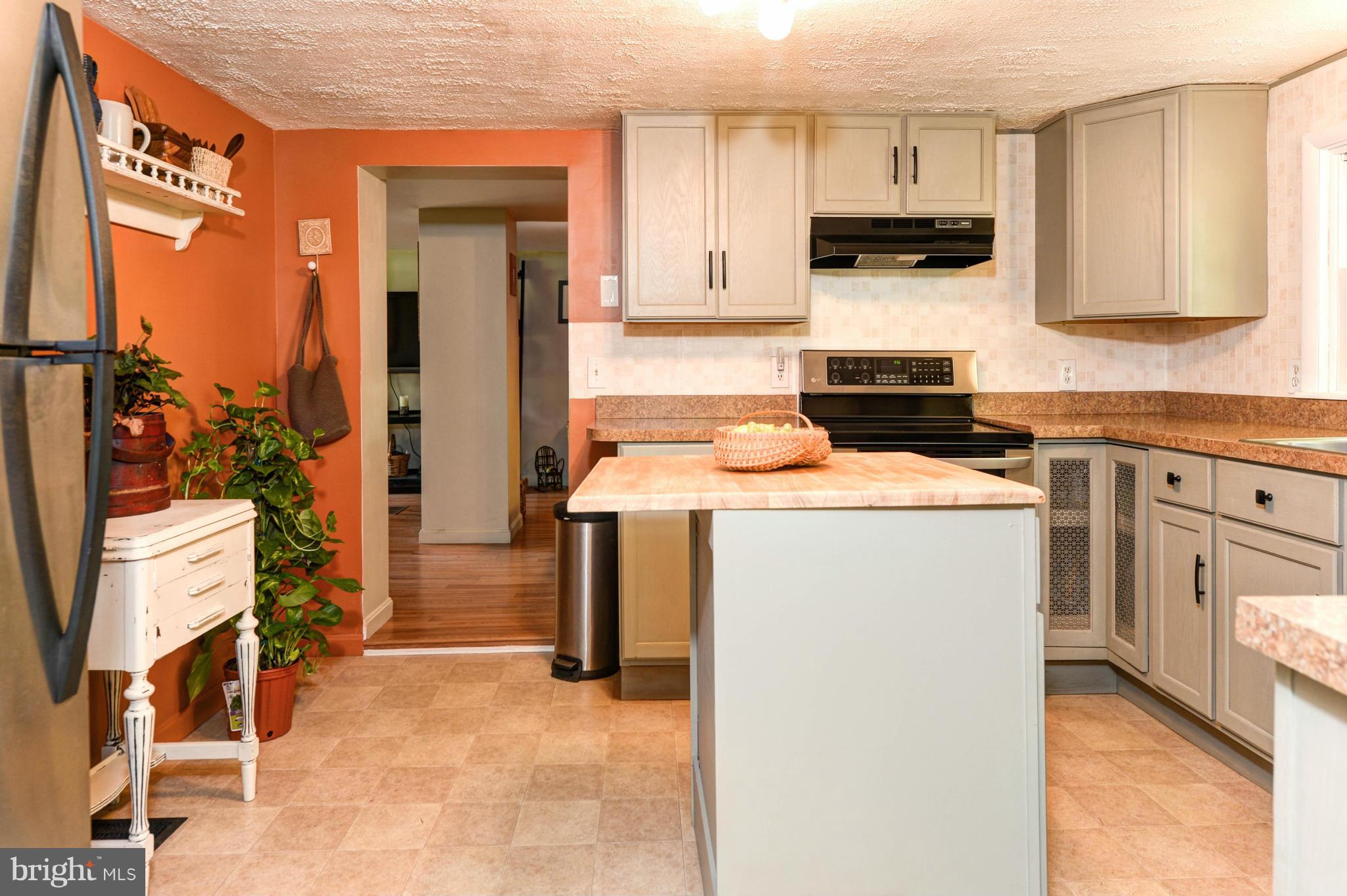 588 McKinneytown Road Elkton, MD 21921 - Photo 7 of 20 Kitchen