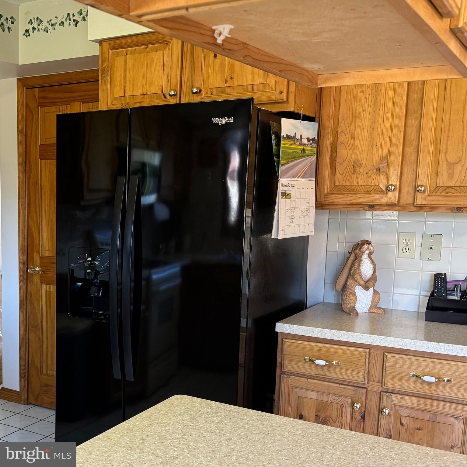 125 Brer Rabbit Road Rising Sun, MD 21911 - Photo 11 of 45 a kitchen with a refrigerator and cabinets