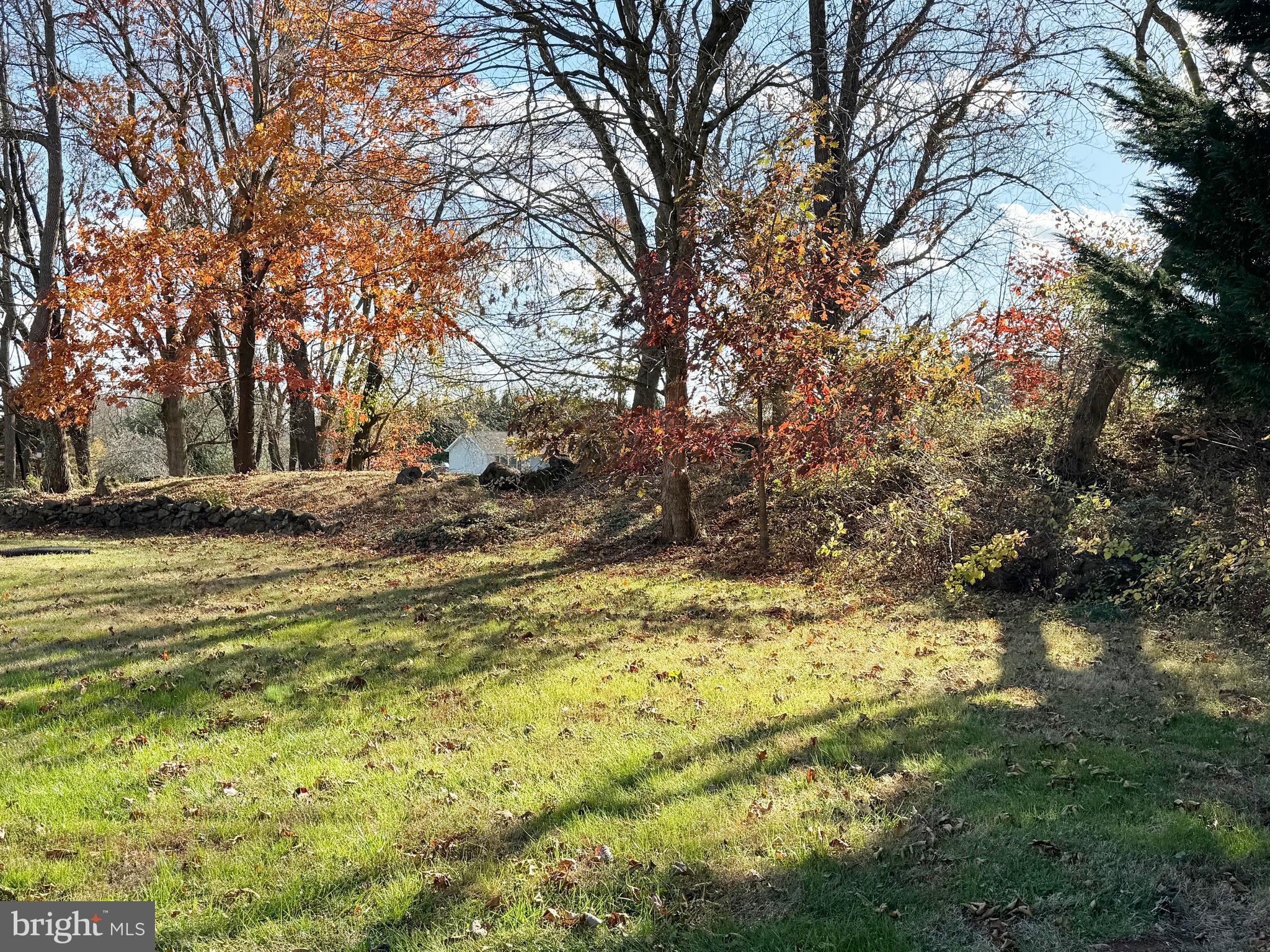 125 Brer Rabbit Road Rising Sun, MD 21911 - Photo 24 of 45 a view of yard with trees