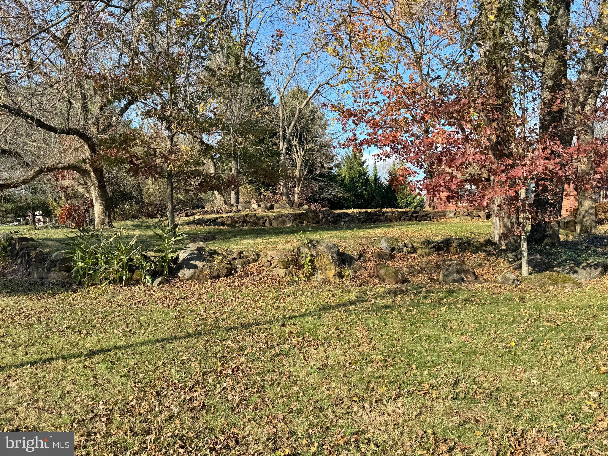 125 Brer Rabbit Road Rising Sun, MD 21911 - Photo 33 of 45 a view of a yard with yellow lighting