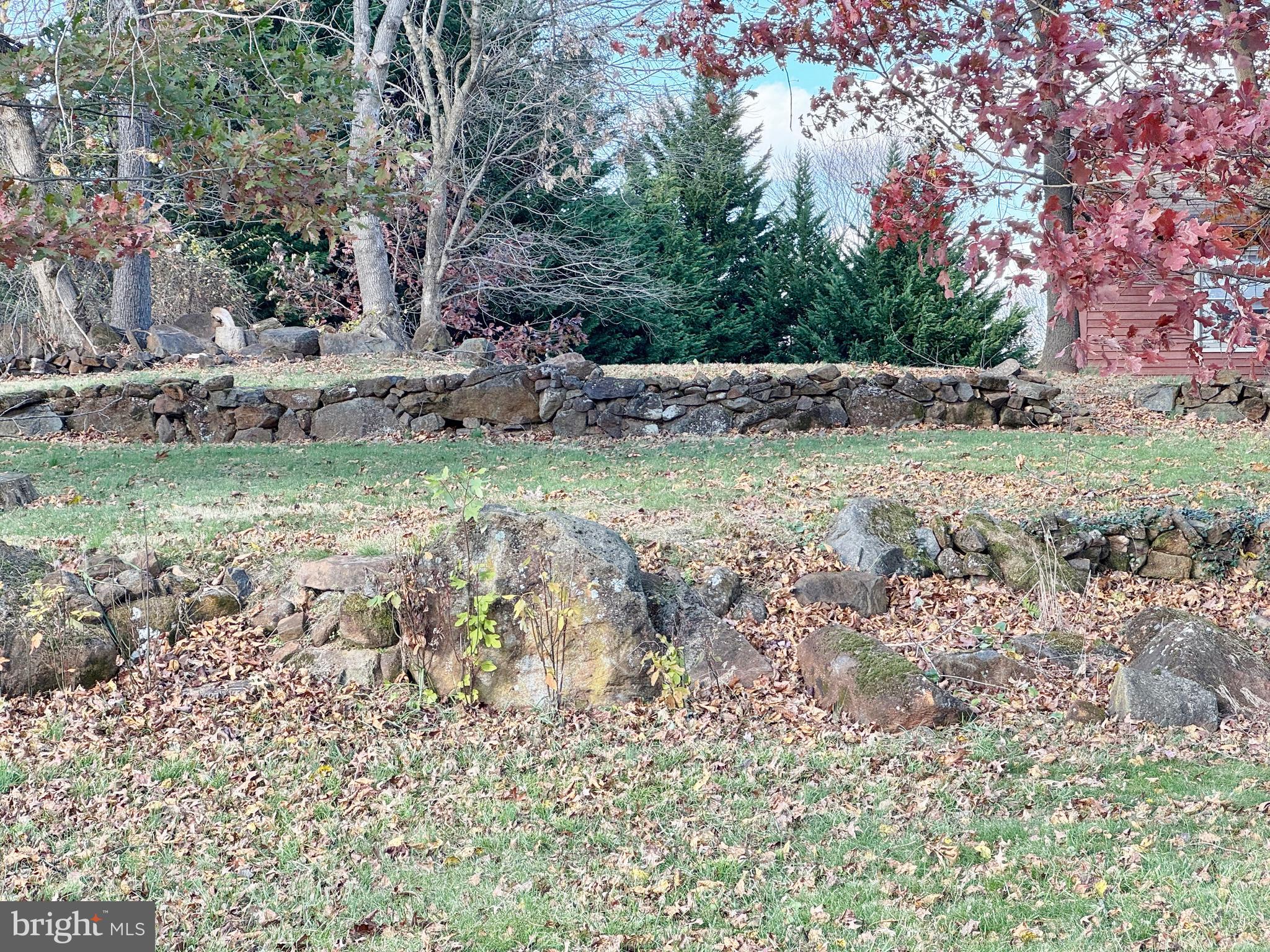 125 Brer Rabbit Road Rising Sun, MD 21911 - Photo 35 of 45 a backyard of a house with lots of green space