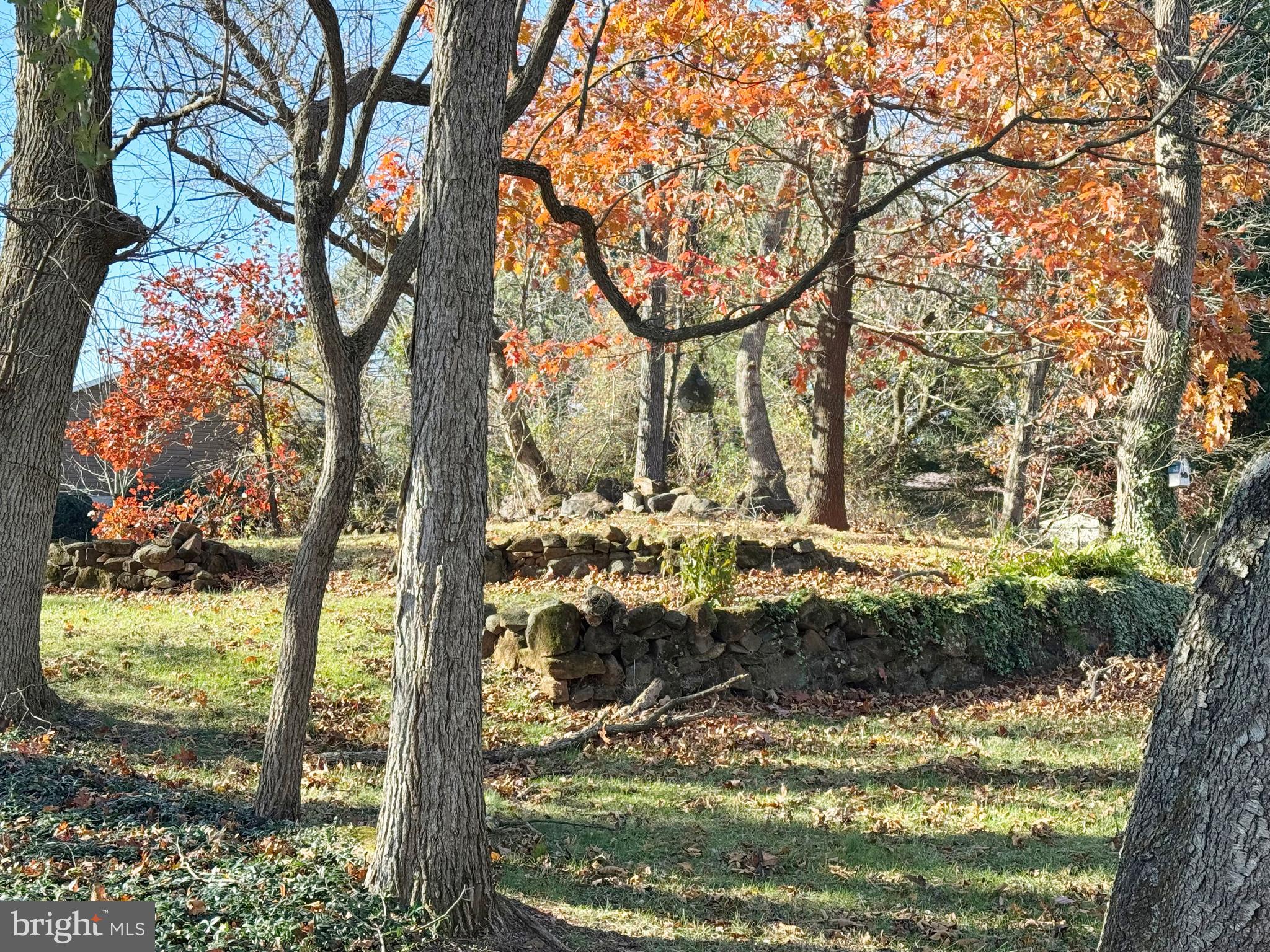 125 Brer Rabbit Road Rising Sun, MD 21911 - Photo 38 of 45 a view of a yard with large trees