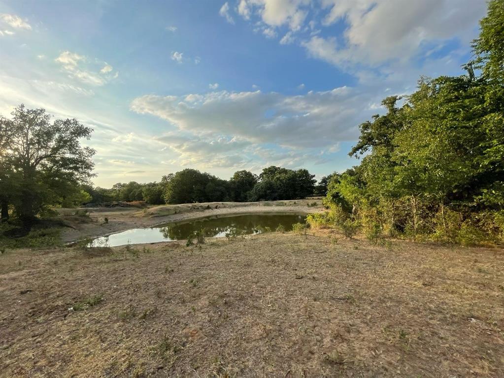 0 Big Salty Lane Springtown, TX 76082 - Photo 14 of 16 a view of lake with green space