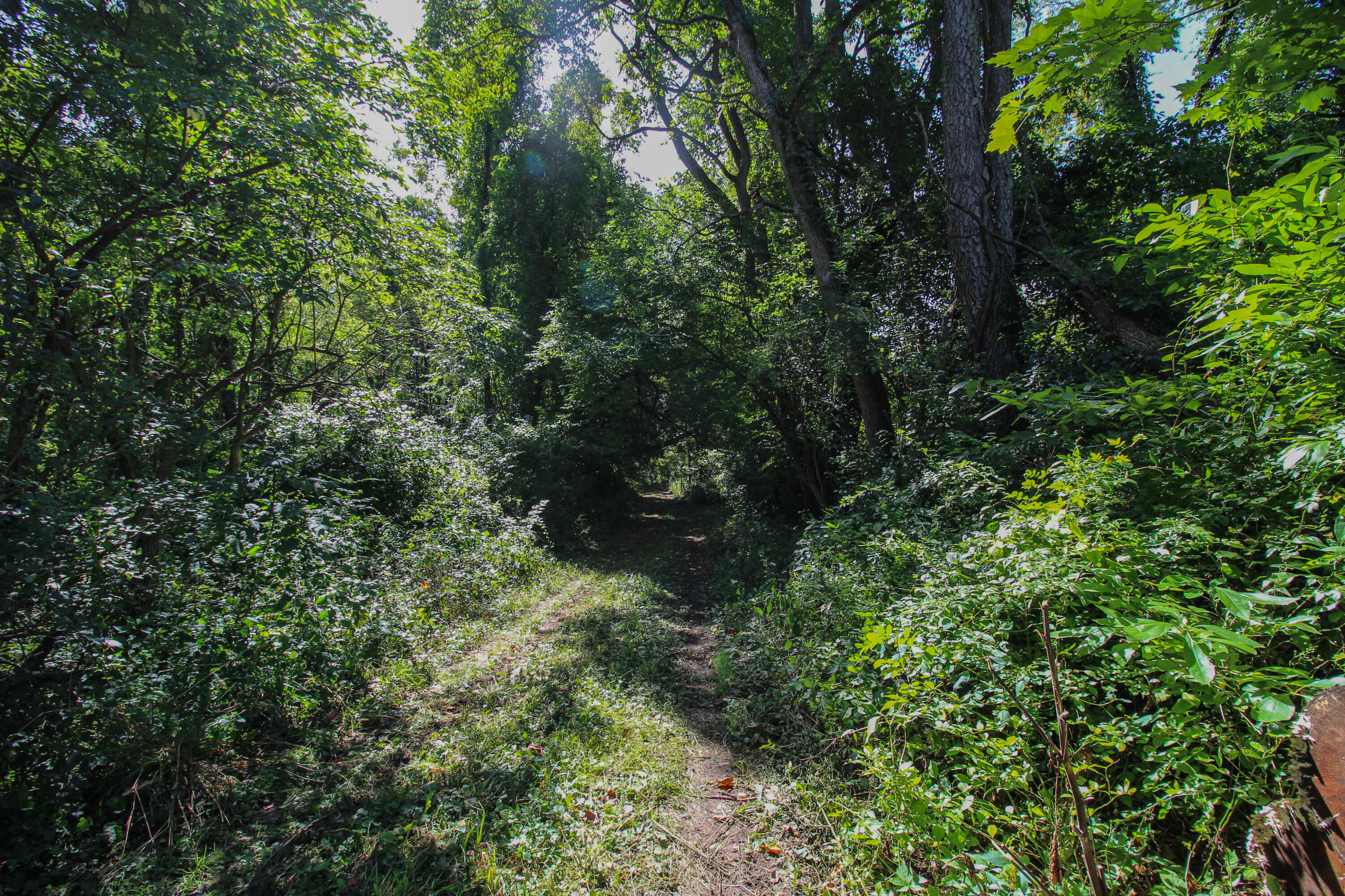 Three Millard Road Three Rivers, MI 49093 - Photo 6 of 19 Millard-18
