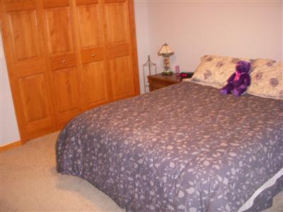 20672 Stateline Road Edwardsburg, MI 49112 - Photo 9 of 13 Additional Photo