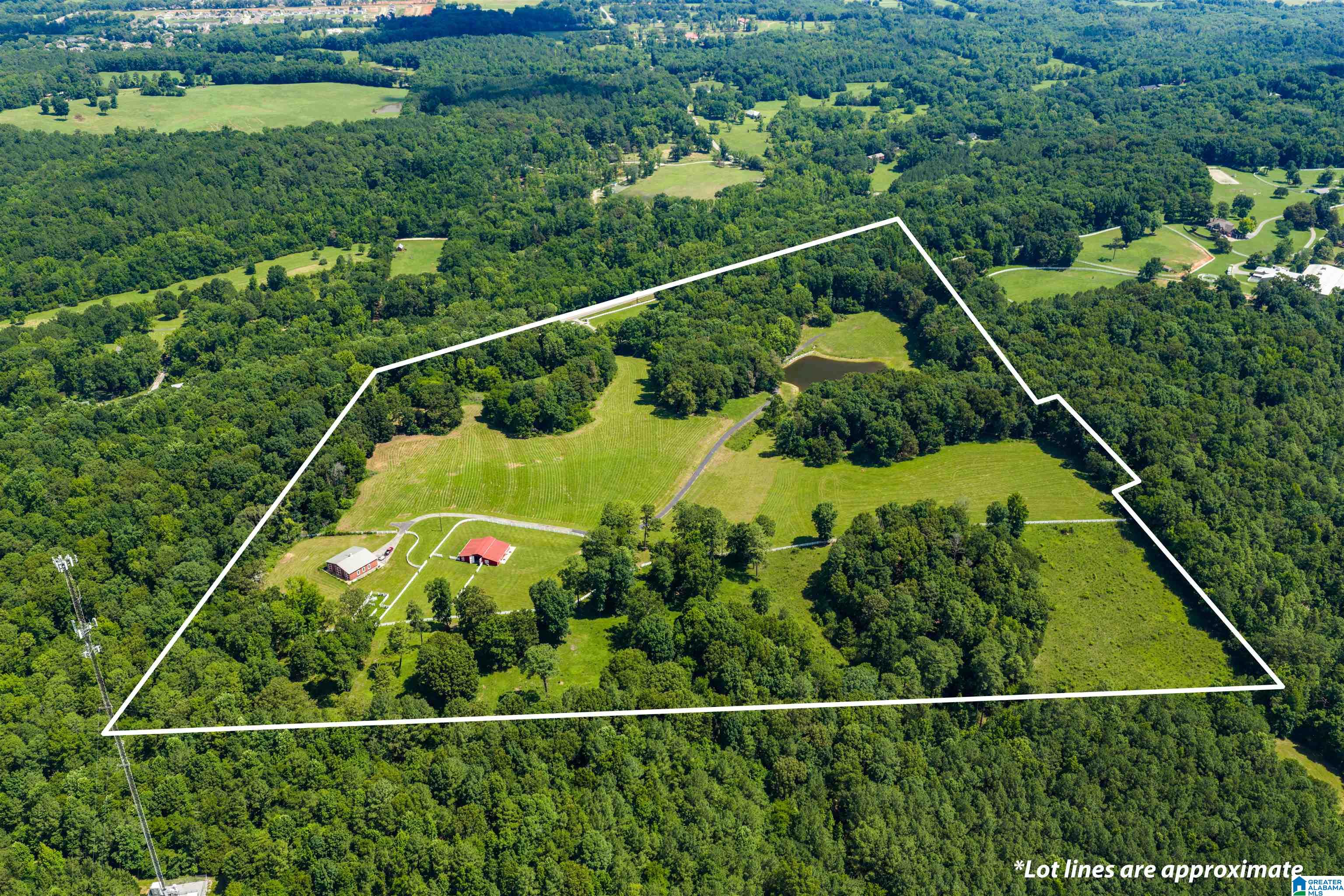 3640 Spring Creek Road Calera, AL 35040 - Photo 7 of 83