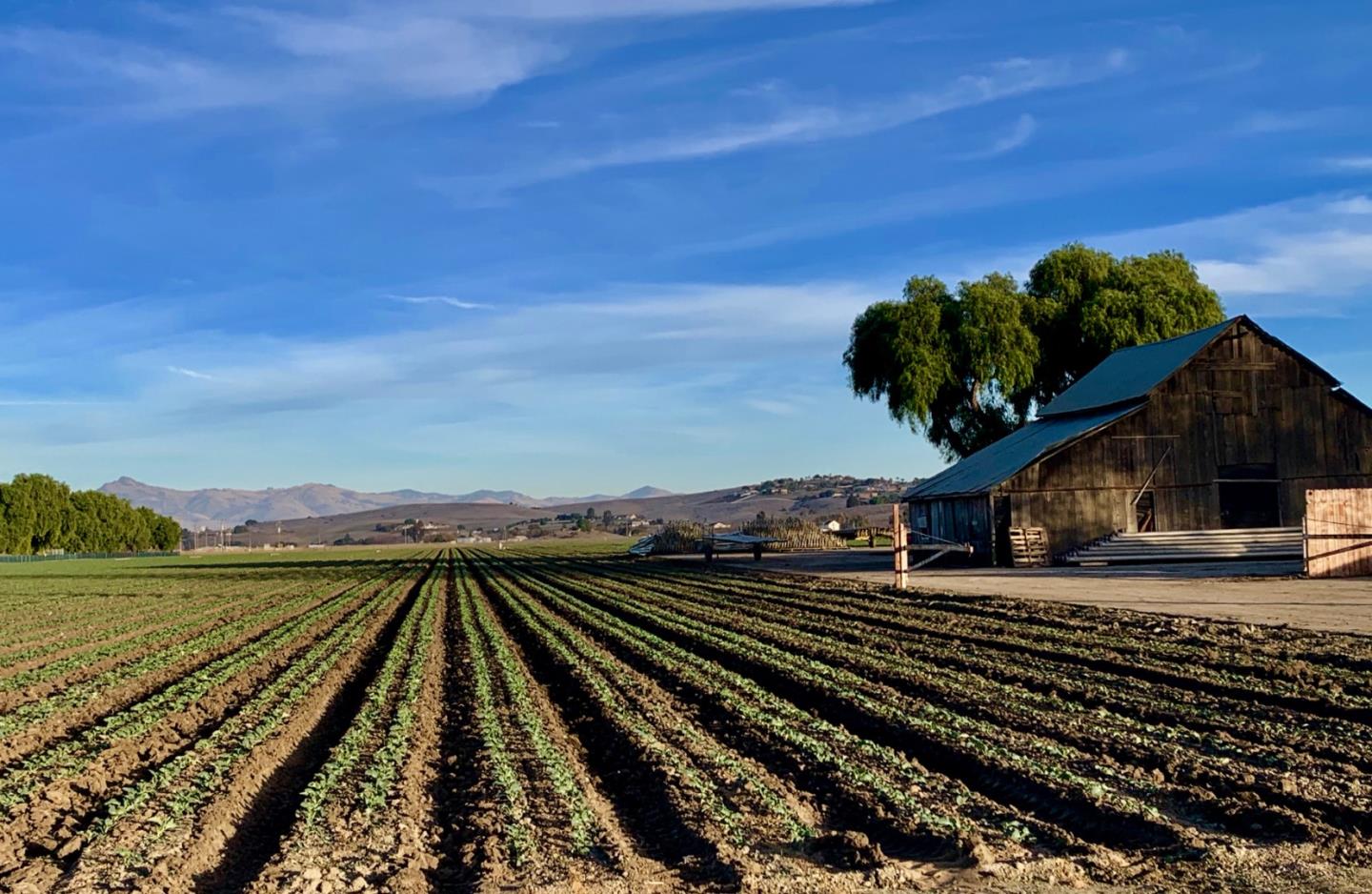 Flint Road Hollister, CA 95023 - Photo 19 of 23 a view of a train that is sitting on the tracks