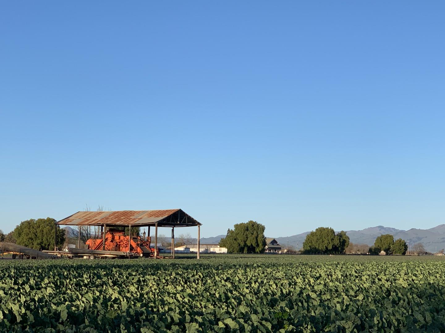 Flint Road Hollister, CA 95023 - Photo 2 of 23 a front view of a house with a street