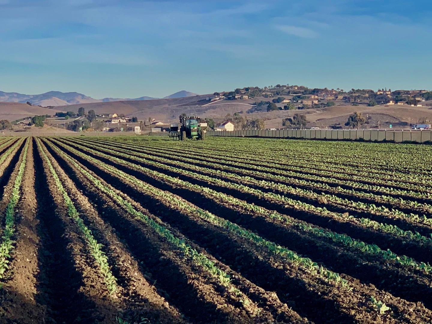 Flint Road Hollister, CA 95023 - Photo 21 of 23
