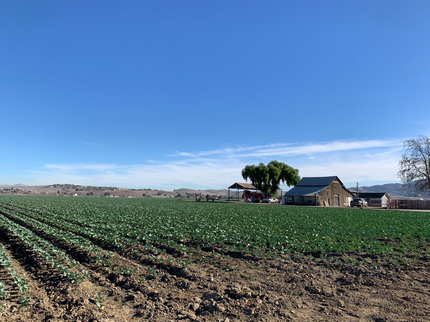 Flint Road Hollister, CA 95023 - Photo 22 of 23 a view of a garden with a building in the background