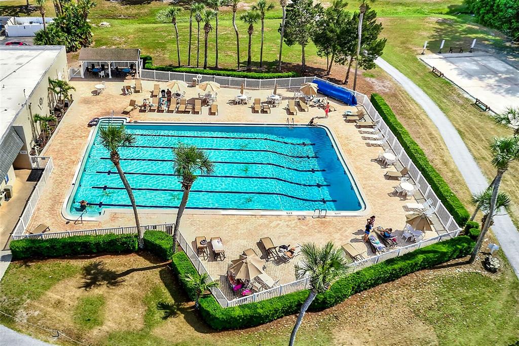 3422 Trophy Boulevard New Port Richey, FL 34655 - Photo 21 of 23 a view of swimming pool with a garden and seating area
