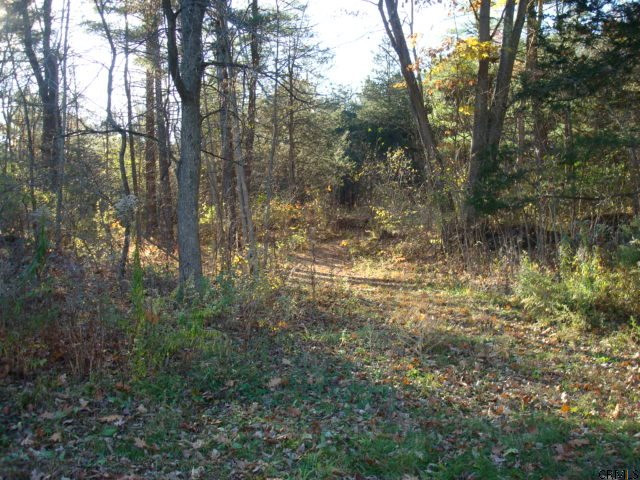 585 Starr Road Coeymans, NY 12143 - Photo 14 of 15 Photo 14