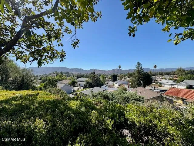 a view of a tree with a yard