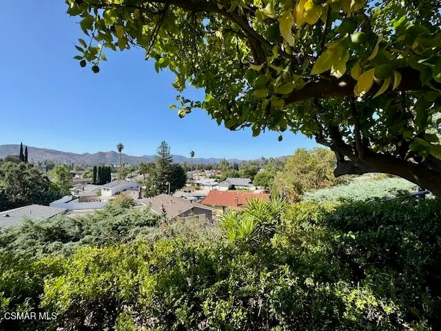 a view of a tree with a yard
