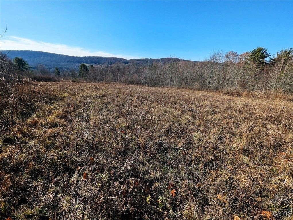 2 Rod Road Naples, NY 14512 - Photo 2 of 32