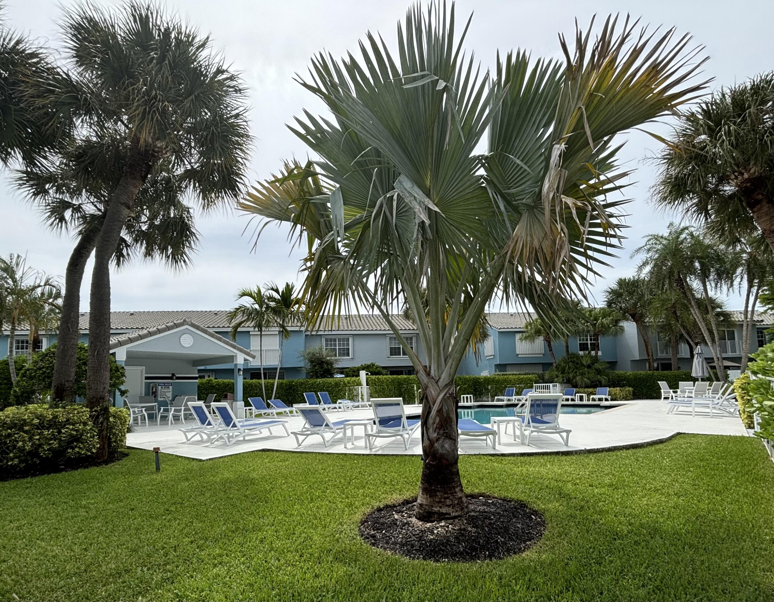 830 Jeffery Street, Unit 830 Boca Raton, FL 33487 - Photo 25 of 28 Heated Pool