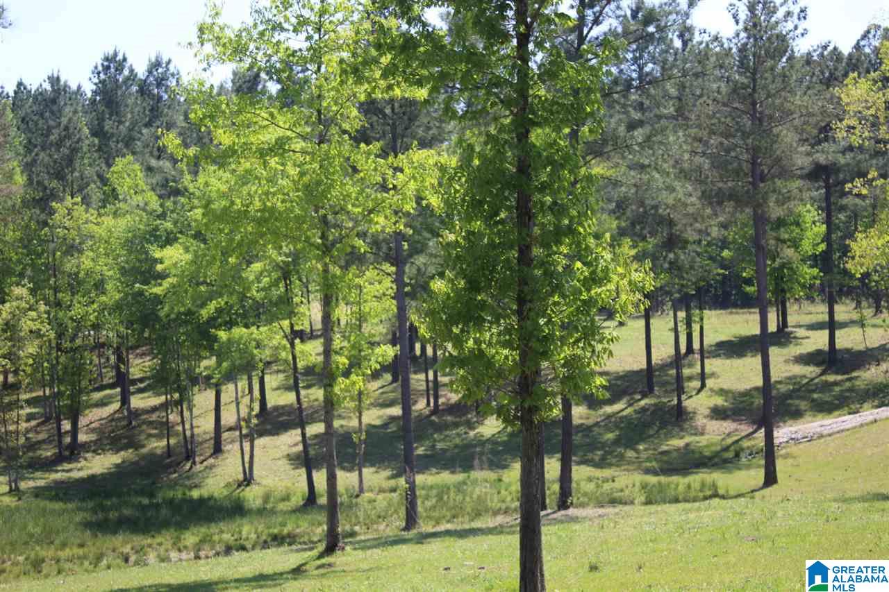 0 Alston Farm Road, Unit 1 Columbiana, AL 35051 - Photo 5 of 8