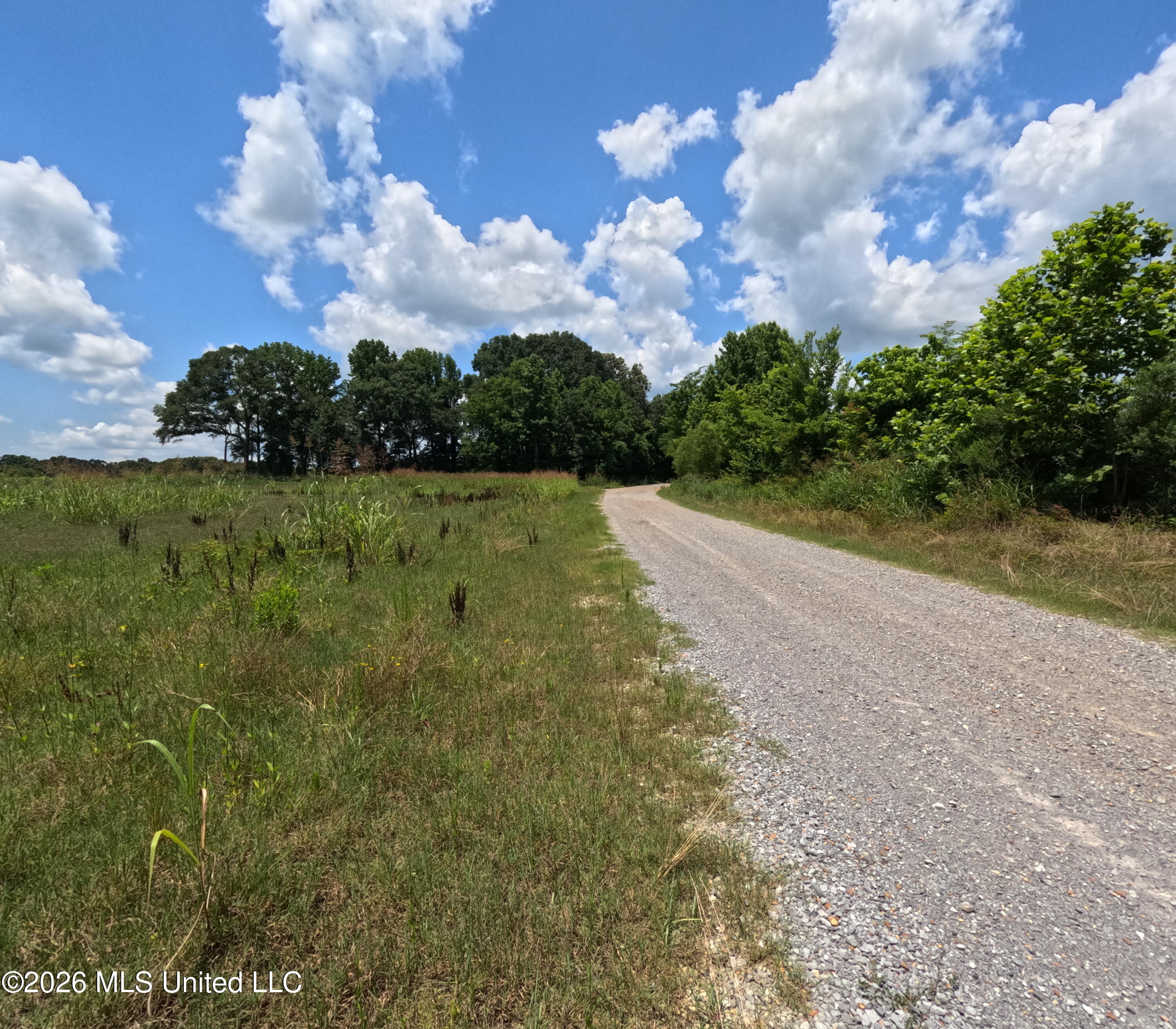 Old Port Edwards, MS 39066 - Photo 13 of 65 GOPR2271