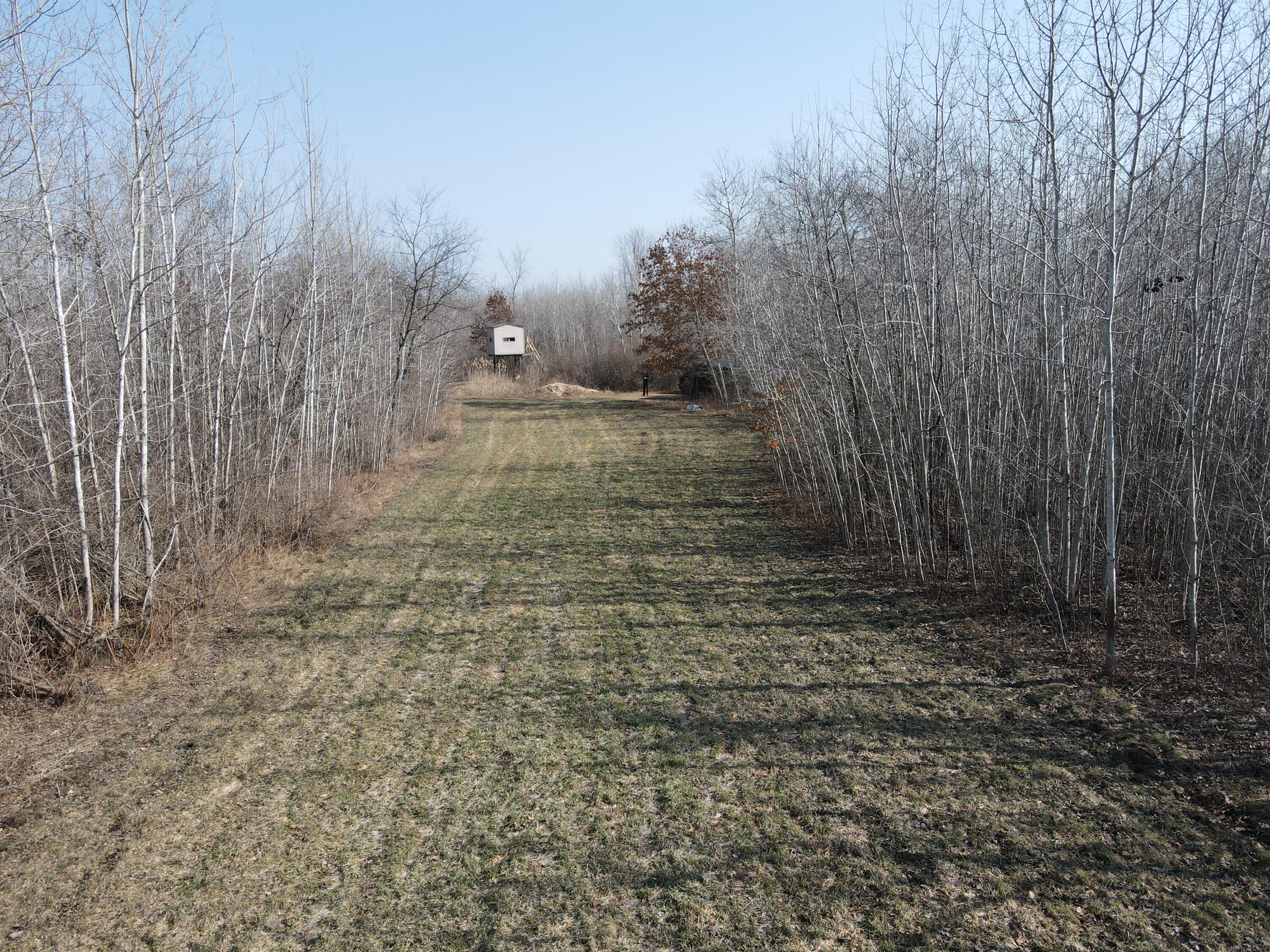 -vl North Huron Road Pinconning, MI 48650 - Photo 17 of 20 DJI_0054