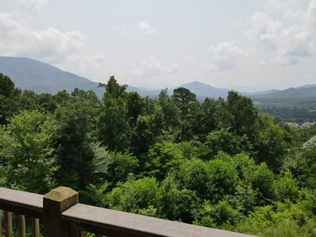 1925 Wild Iris Way Sevierville, TN 37862 - Photo 40 of 43