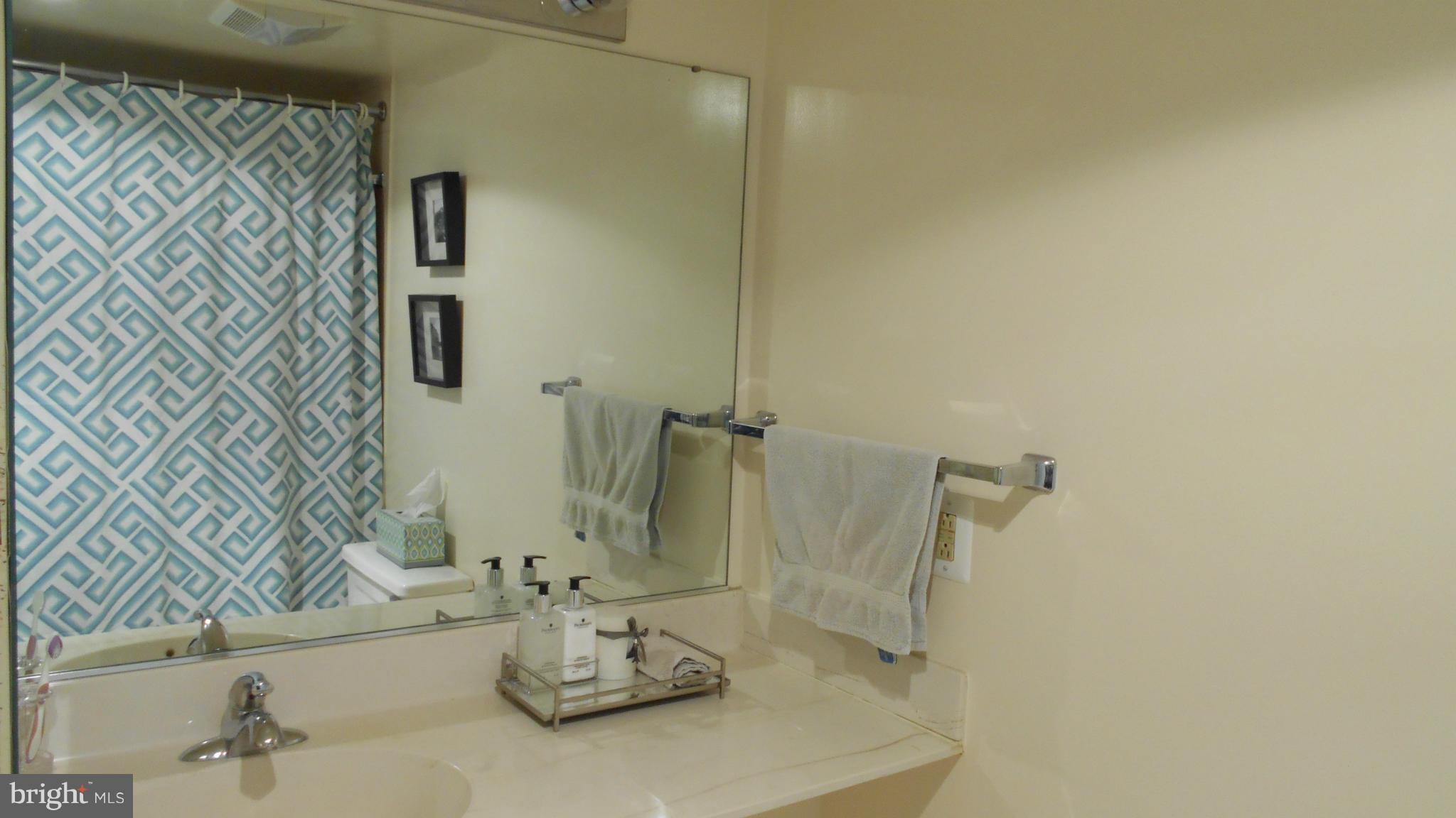 1808 Old Meadow Road, Unit 1003 McLean, VA 22102 - Photo 10 of 22 a bathroom with a sink and a mirror