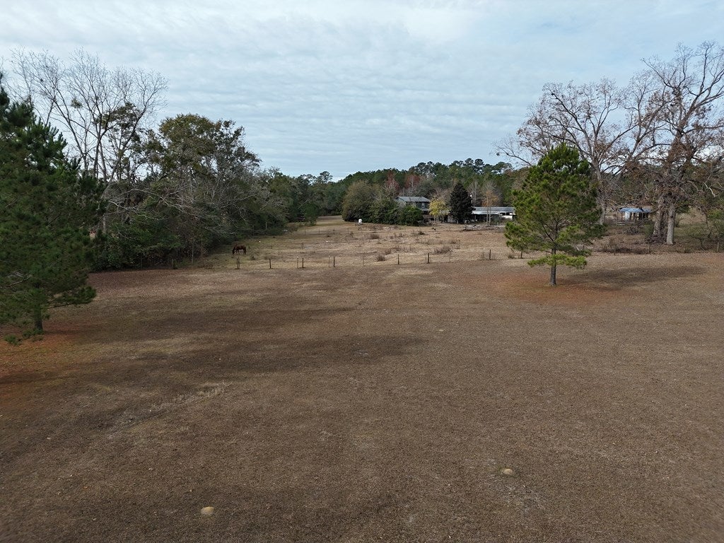 2-acr Lewis Road Cairo, GA 39828 - Photo 9 of 24 Gallery Image 9