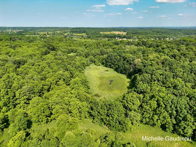 $1,100,000 | 4756 Robertson Road, Middleville, MI 49333