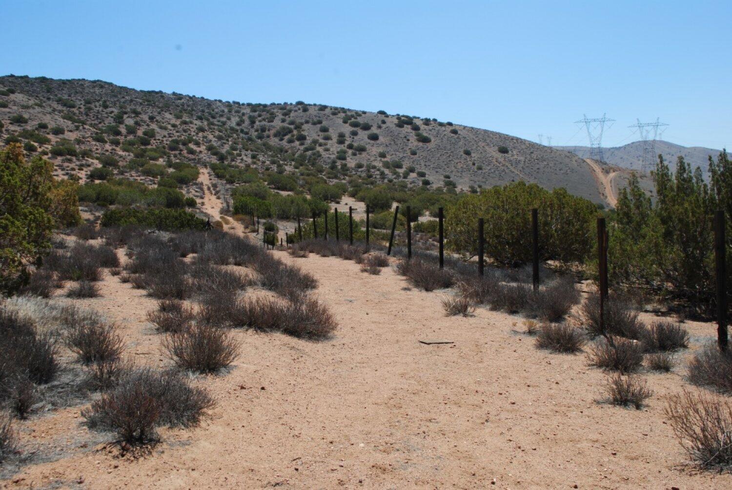 0 Tuckerway Ranch Road, Unit A Palmdale, CA 93551 - Photo 8 of 10 09-VacantLot-a1de1b80c9