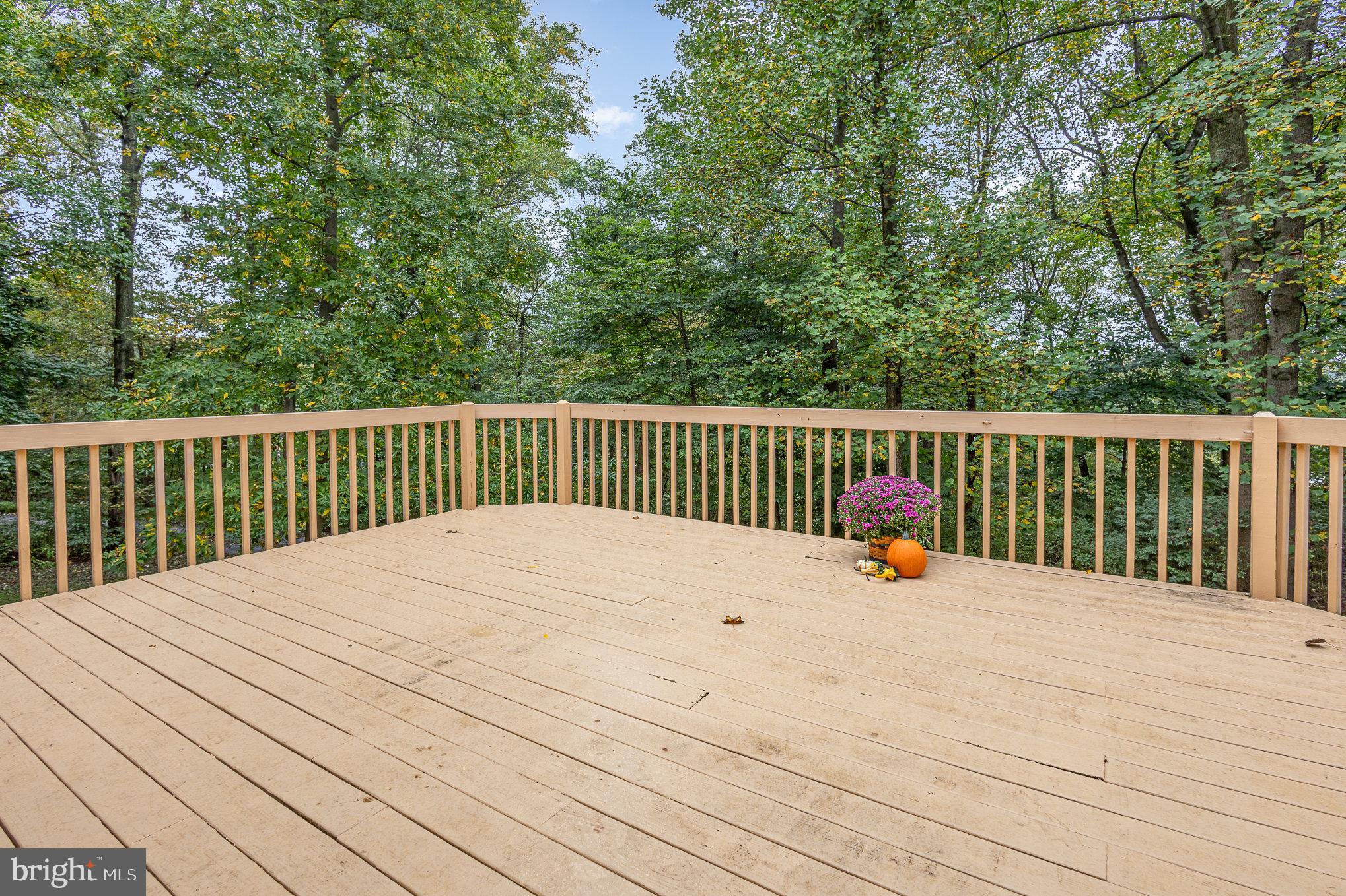 317 West Brubaker Valley Road Lititz, PA 17543 - Photo 23 of 40 Rear Deck