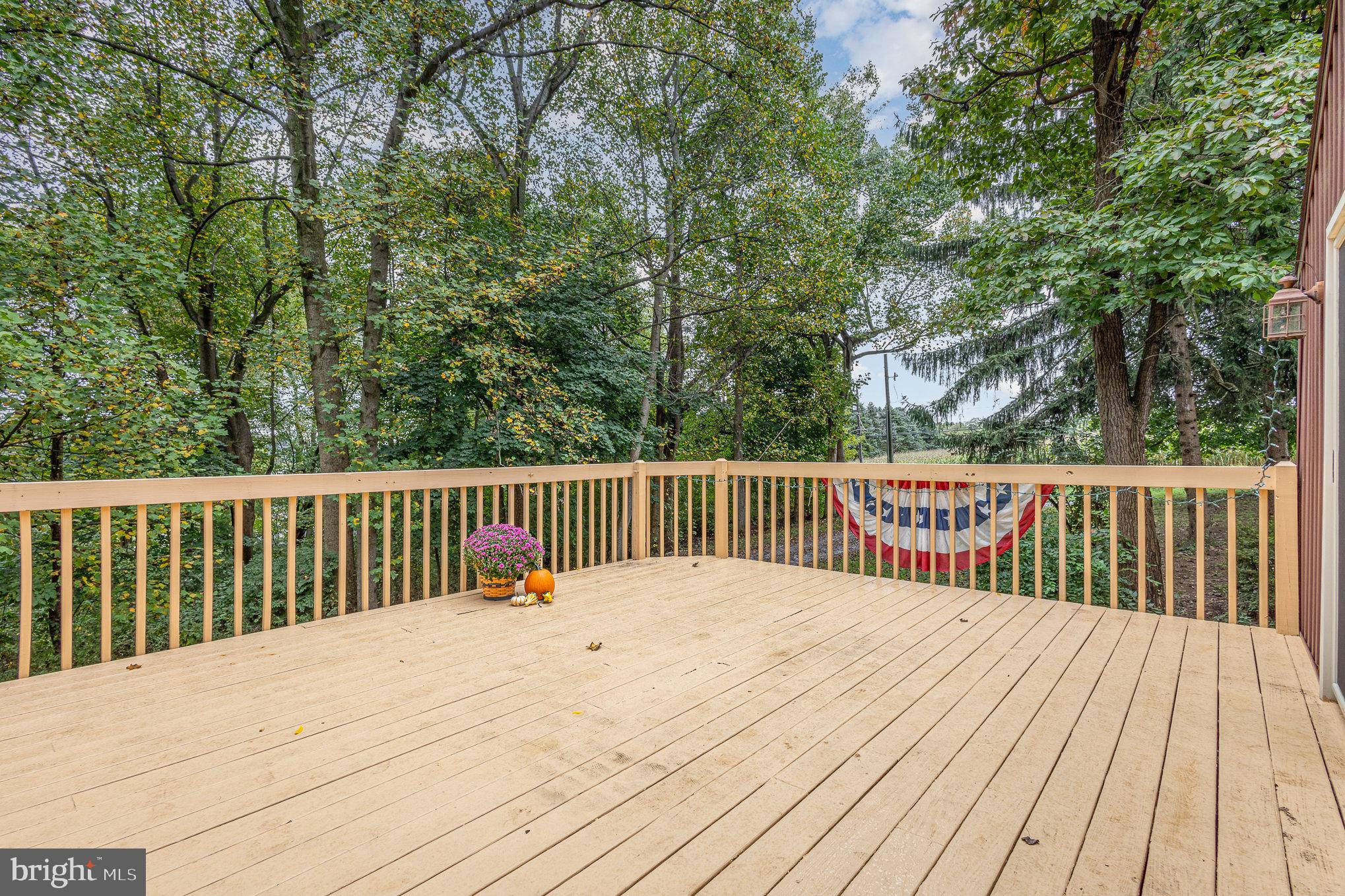 317 West Brubaker Valley Road Lititz, PA 17543 - Photo 24 of 40 Rear Deck