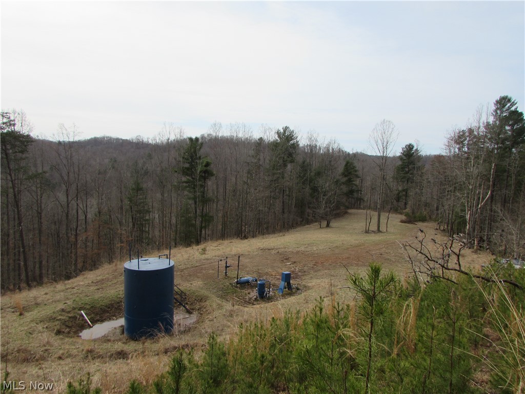 Bean Ridge Road Smithville, WV 26178 - Photo 14 of 34 Gallery Image 14
