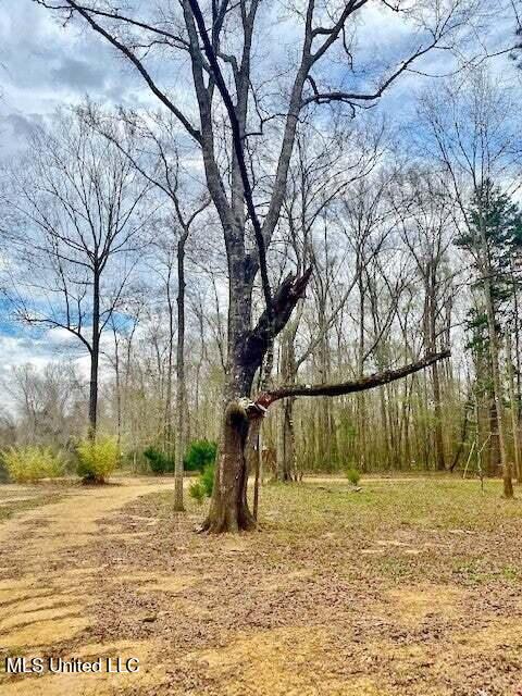 3037 Brandi Road Summit, MS 39666 - Photo 11 of 17 20250707201147603842000000-o