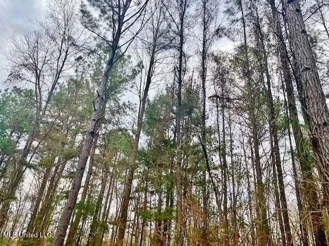 $168,000 | 3037 Brandi Road, Summit, MS 39666