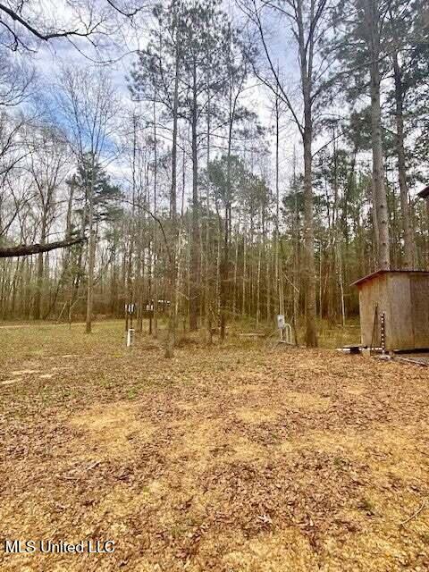 3037 Brandi Road Summit, MS 39666 - Photo 13 of 17 20250707201147838572000000-o