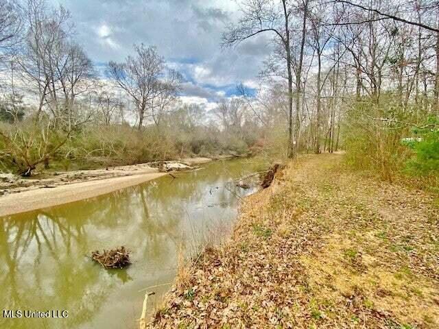 3037 Brandi Road Summit, MS 39666 - Photo 14 of 17 20250707201147950892000000-o