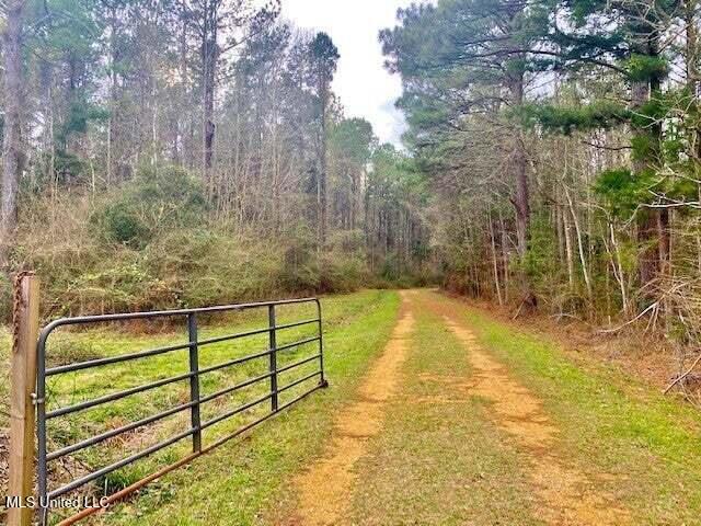 3037 Brandi Road Summit, MS 39666 - Photo 2 of 17 20250707201146508102000000-o