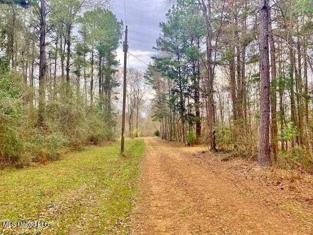 3037 Brandi Road Summit, MS 39666 - Photo 3 of 17 20250707201146617506000000-o