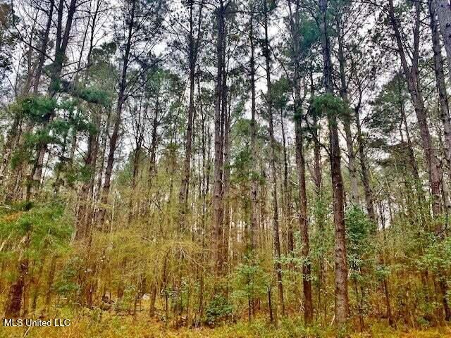 3037 Brandi Road Summit, MS 39666 - Photo 7 of 17 20250707201147245204000000-o