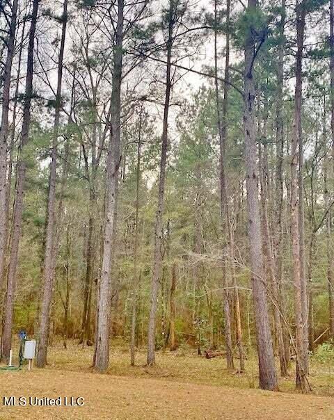 3037 Brandi Road Summit, MS 39666 - Photo 9 of 17 20250707201147362351000000-o