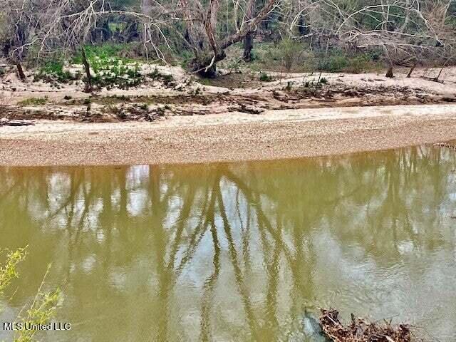 3037 Brandi Road Summit, MS 39666 - Photo 10 of 17 20250707201147467651000000-o