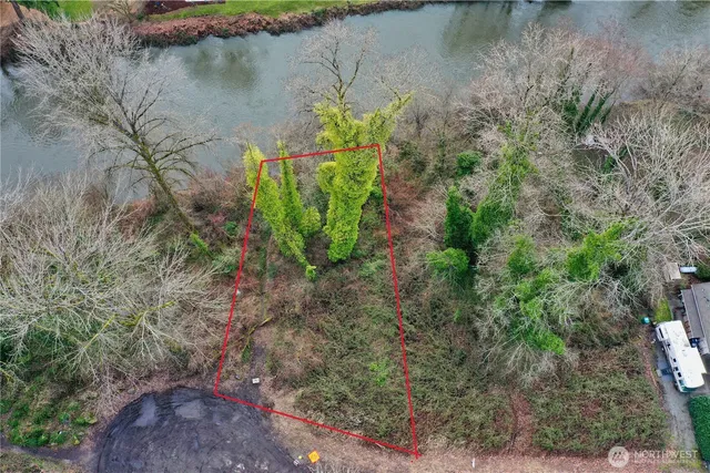 a view of a garden with a lake