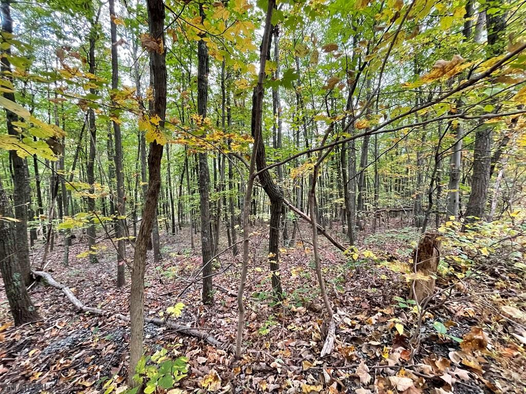 Off Off Clear Ridge Everett, PA 15537 - Photo 2 of 8