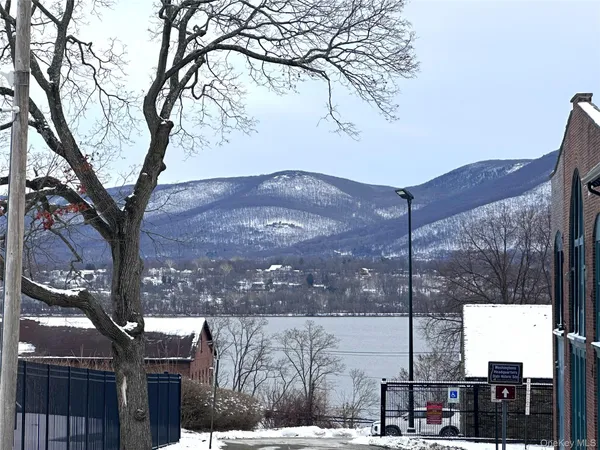 a view of a terrace with a tree