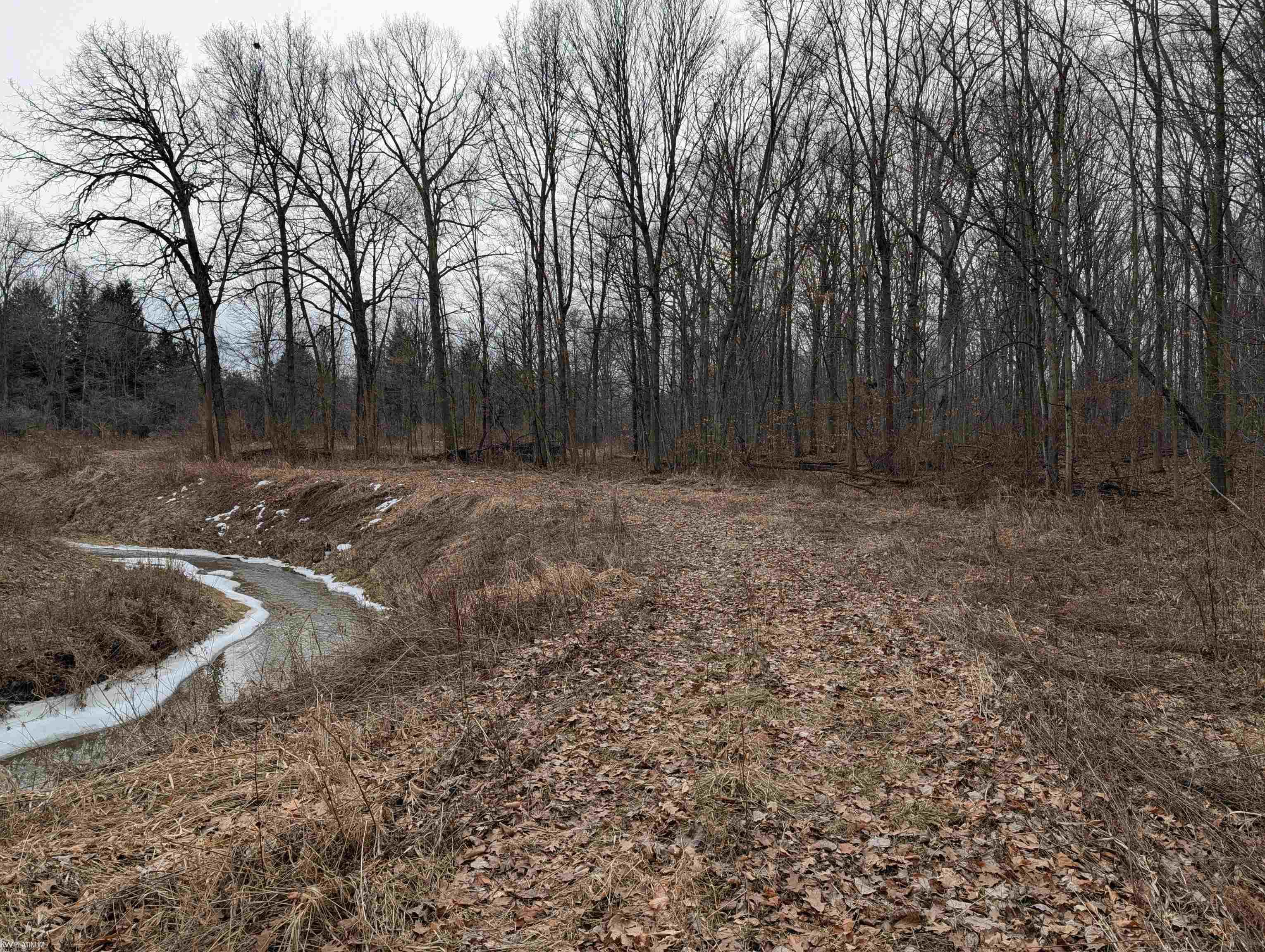 9072 Green Road Goodells, MI 48027 - Photo 61 of 73