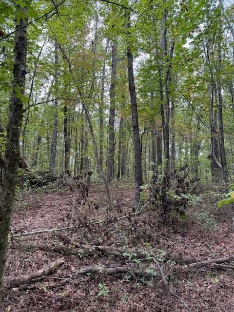 4 Tipple Road Tracy City, TN 37387 - Photo 13 of 19 Gallery Image 13