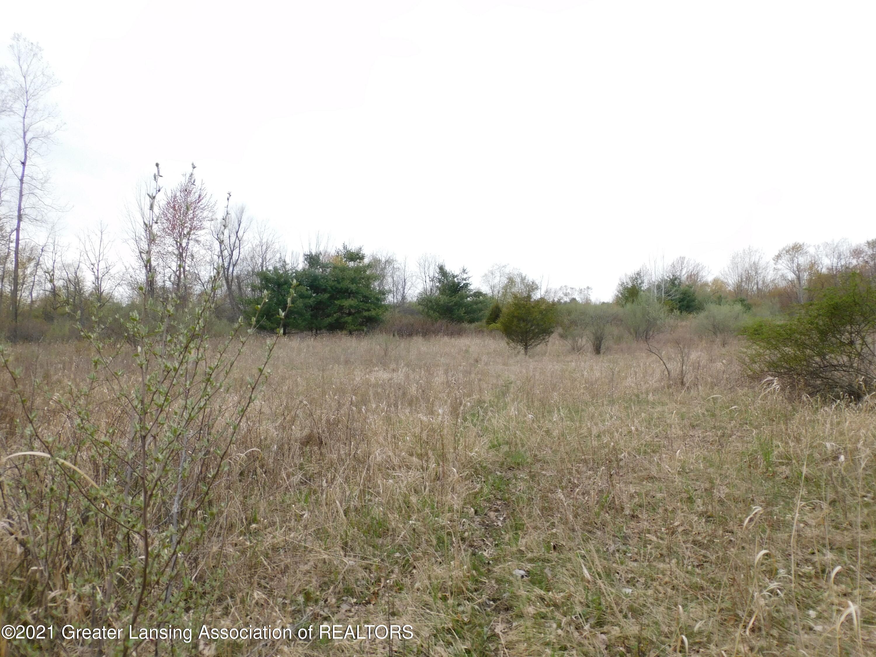 0 Garrison Road Laingsburg, MI 48848 - Photo 20 of 31 Higher land