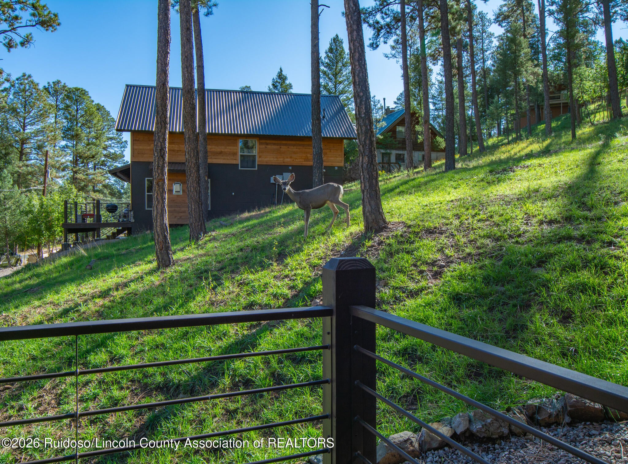 115 Apache Hills Drive Ruidoso, NM 88345 - Photo 104 of 162 Gallery Image 104