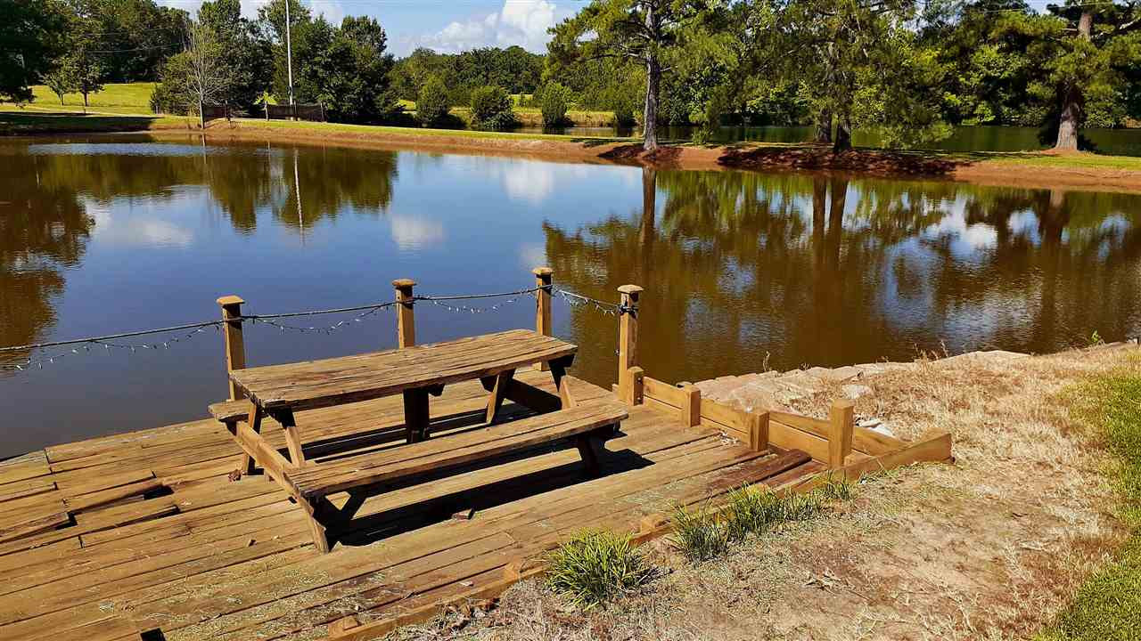 204 McKay Road Canton, MS 39046 - Photo 4 of 48 Photo 4