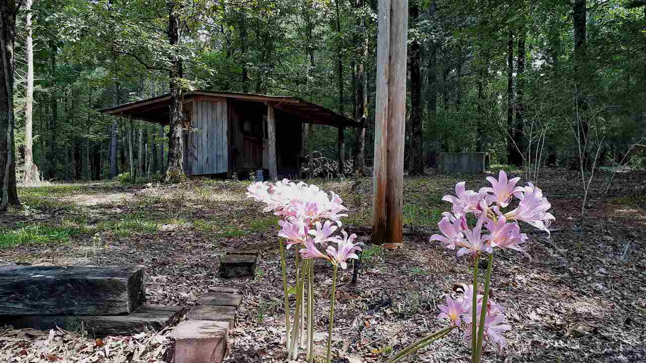 204 McKay Road Canton, MS 39046 - Photo 44 of 48 Photo 45