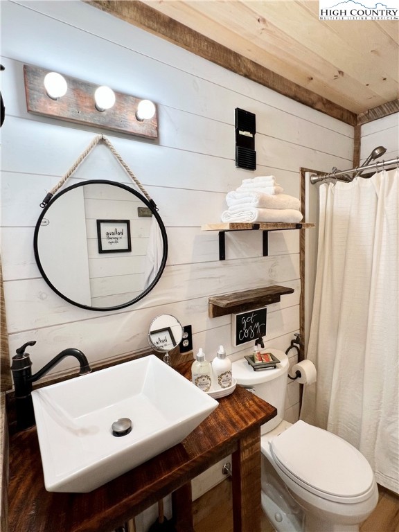 301 Pinnacle Inn Road, Unit 1105 Beech Mountain, NC 28604 - Photo 19 of 40 a bathroom with a sink a toilet and a mirror
